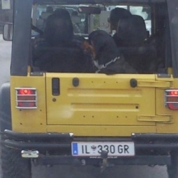 Jeep Treffen 2009_20