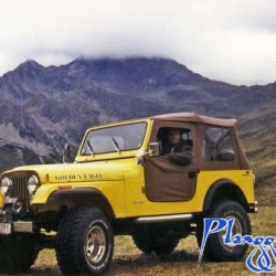 mein gelber jeep